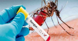 East Nawalparasi hit with test kit shortage amid dengue surge